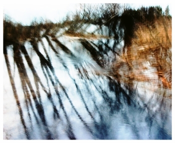  / 2007