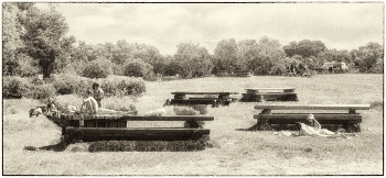  / 2006