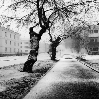 Die April-Schneesturm / ***