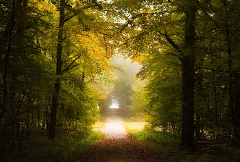 In der nebligen Dunst / ***