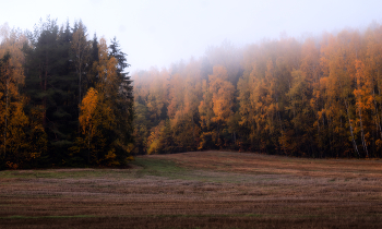 Herbst / ***