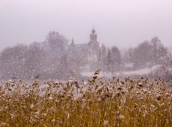 Winter / ***