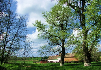 Spring mood / ***