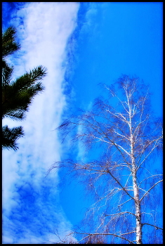 Himmel / ***