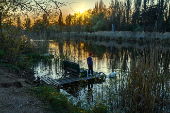 Abend auf dem See / ***
