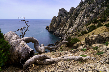 Cape Huhn / ***