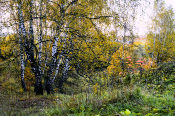 Herbst / ***