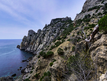 Cape Huhn / ***