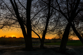 Abend / ***