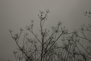 Sehnsucht / ***