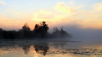 Morgendämmerung / ***