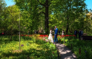 Spring Wedding / ***