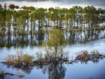 High-Water- / ***
