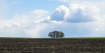 Feld / ***