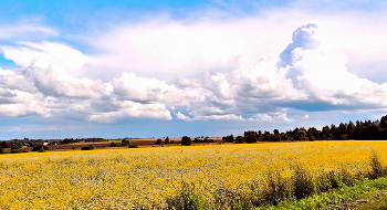 Der Sommer ist gekommen / ***