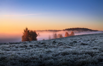 frostigen Morgengrauen / ***