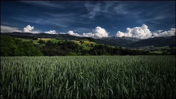 Cumulus / Wetter