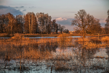 Abendlicht / ***