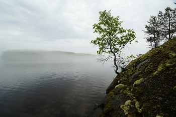 Nebel zerstreut / ***