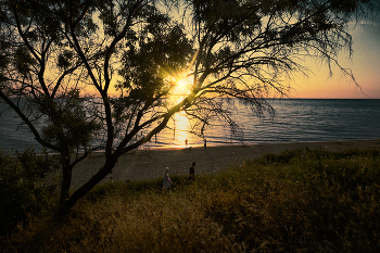 Abendstimmung am Meer / ***
