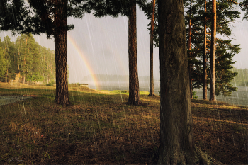 Rainy Stimmung / ***