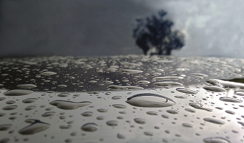 Landschaft / ***