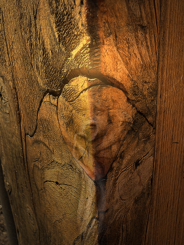 Shizo II / Texture in mind