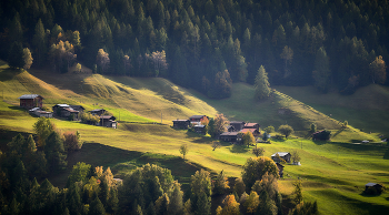 Besuch Herbst / ***