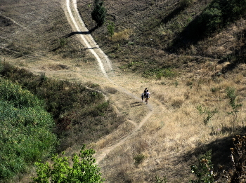 Wanderung / ***