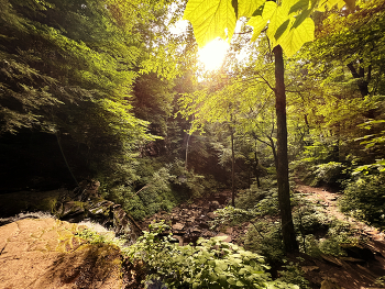 Die ersten Strahlen der Sonne / ***