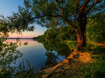 Abendlicht / ***