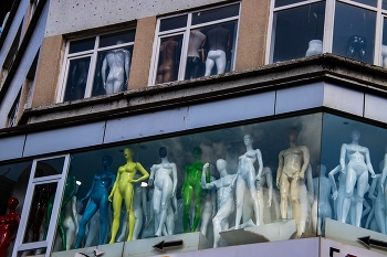 Aus dem Leben der Dummies / ………..