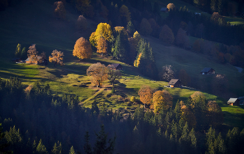 Besuch Herbst / ***