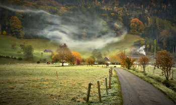 Besuch Herbst / ***