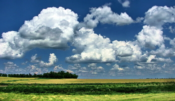 Feld / ***