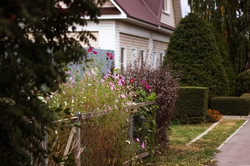 zu Hause / ***
