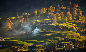 Besuch Herbst / ***
