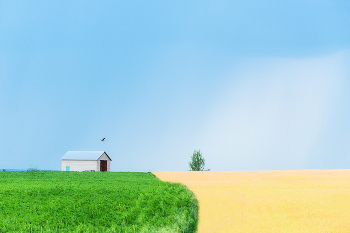 Feld / ***