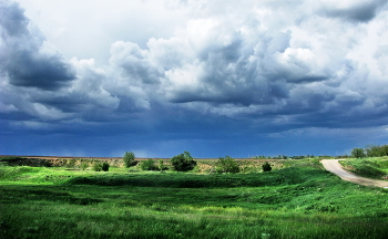 der regen ... / ***