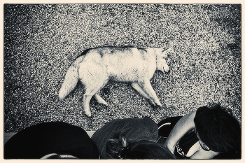  / 2010