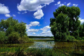Simferopol Reservoir / ***