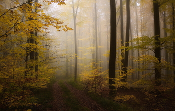 Herbst / ***