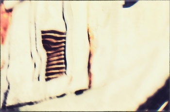  / 2010