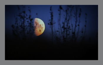 Silhouettes / ***