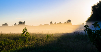 Morgennebel. / ***