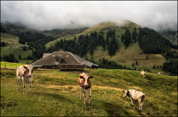 Regentag / Die Alp