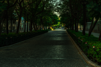  / solitude street