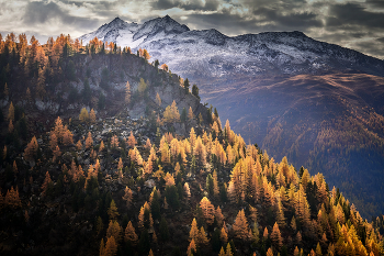 Besuch Herbst / ***