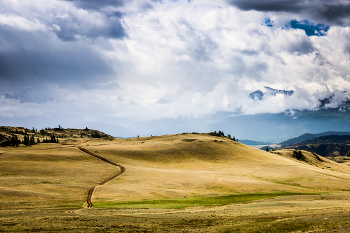 Kurai Steppe / ***