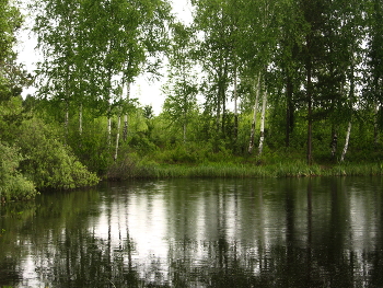Dorfteich / ***